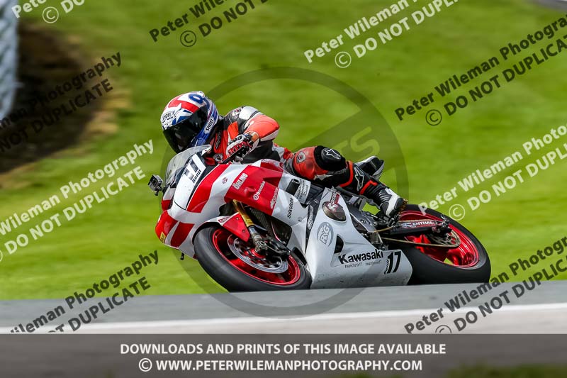 PJ Motorsport 2019;anglesey;brands hatch;cadwell park;croft;donington park;enduro digital images;event digital images;eventdigitalimages;mallory;no limits;oulton park;peter wileman photography;racing digital images;silverstone;snetterton;trackday digital images;trackday photos;vmcc banbury run;welsh 2 day enduro